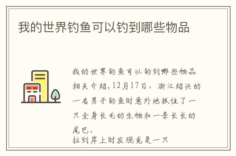 我的世界钓鱼可以钓到哪些物品