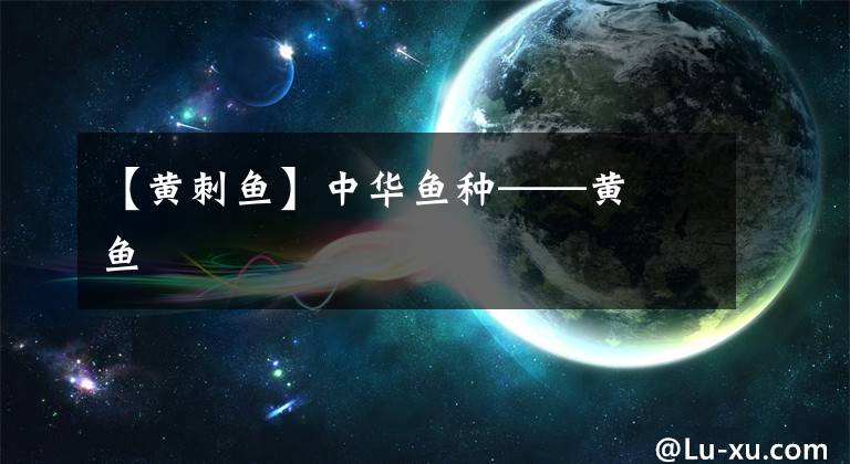 【黄刺鱼】中华鱼种——黄顙鱼