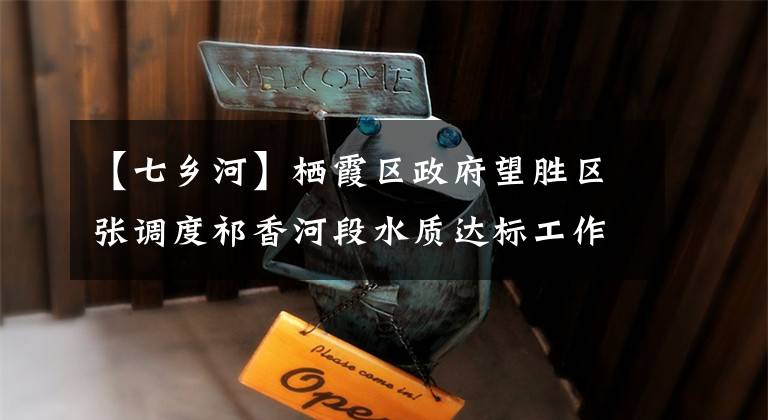 【七乡河】栖霞区政府望胜区张调度祁香河段水质达标工作