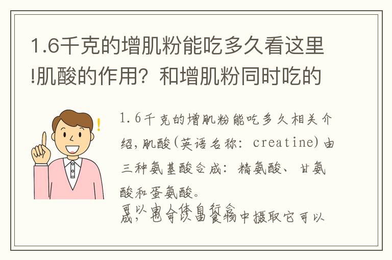 1.6千克的增肌粉能吃多久看这里!肌酸的作用?和增肌粉同时吃的话,具体怎么吃?