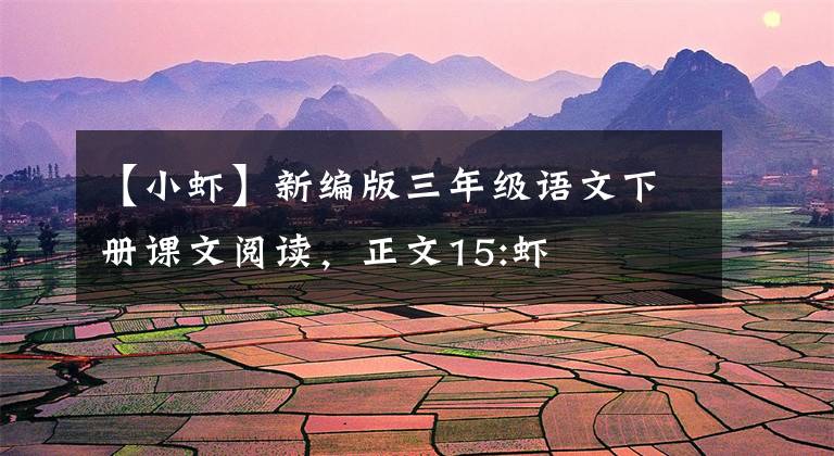 【小虾】新编版三年级语文下册课文阅读，正文15:虾