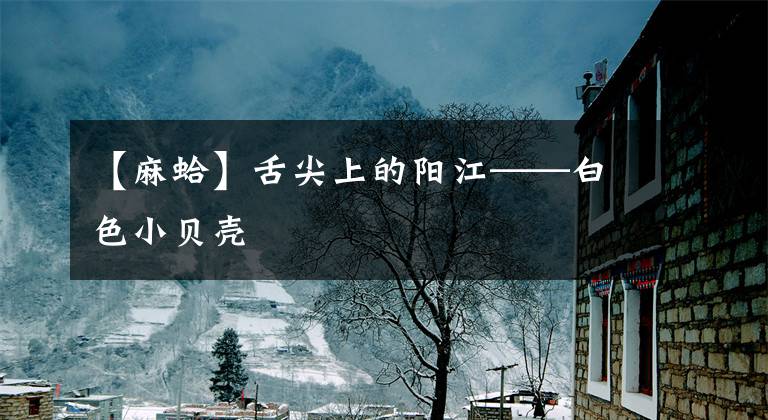 【麻蛤】舌尖上的阳江——白色小贝壳