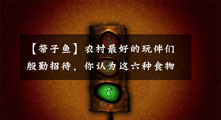 【带子鱼】农村最好的玩伴们殷勤招待，你认为这六种食物中哪一种最好？