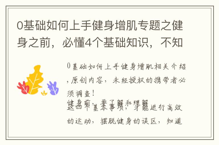 0基础如何上手健身增肌专题之健身之前,必懂4个基础知识,不知道别说你会健身