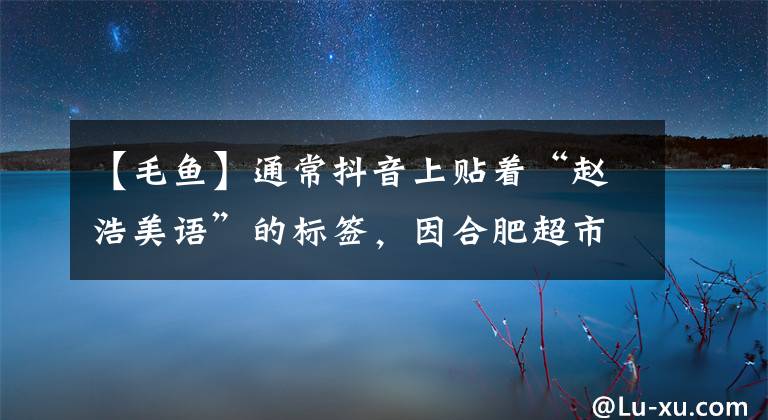 【毛鱼】通常抖音上贴着“赵浩美语”的标签,因合肥超市的虚假宣传被罚了2万韩元。