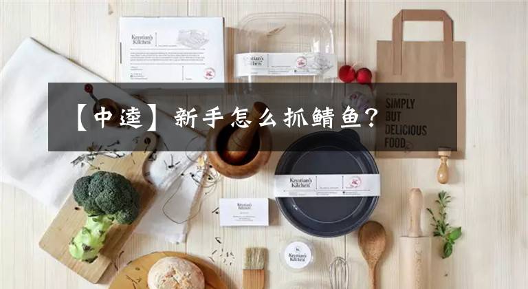 【中逵】新手怎么抓鲭鱼?