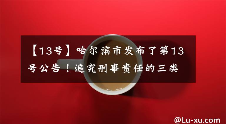 【13号】哈尔滨市发布了第13号公告！追究刑事责任的三类行为
