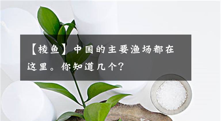 【棱鱼】中国的主要渔场都在这里。你知道几个?
