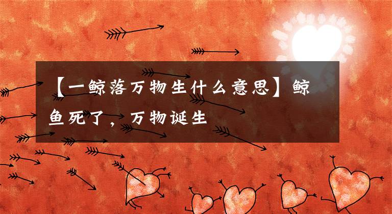 【一鲸落万物生什么意思】鲸鱼死了,万物诞生