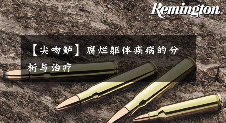 【尖吻鲈】腐烂躯体疾病的分析与治疗