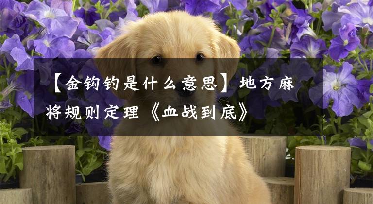 【金钩钓是什么意思】地方麻将规则定理《血战到底》