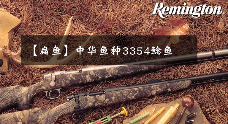 【扁鱼】中华鱼种3354鲶鱼