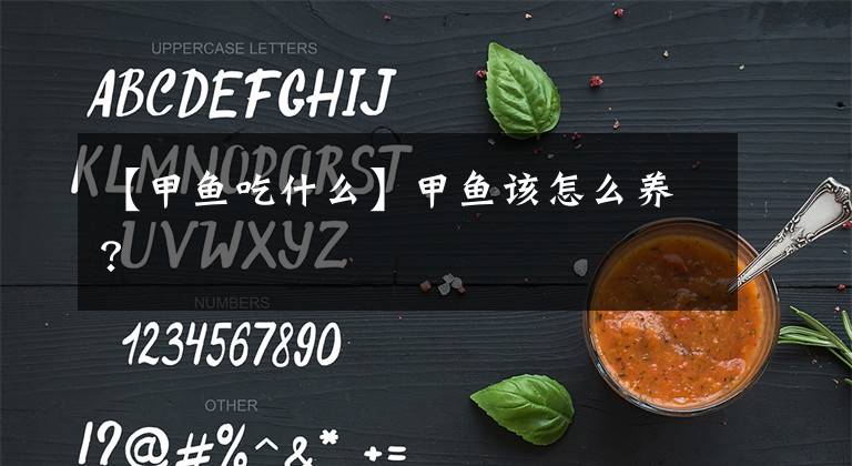 【甲鱼吃什么】甲鱼该怎么养?