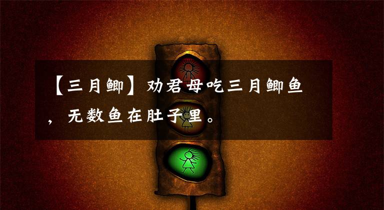 【三月鲫】劝君母吃三月鲫鱼,无数鱼在肚子里。