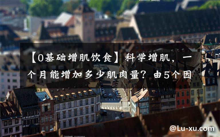 【0基础增肌饮食】科学增肌,一个月能增加多少肌肉量?由5个因素决定