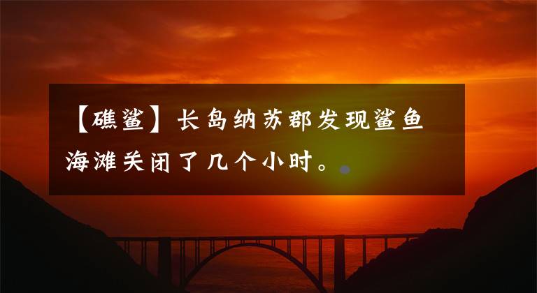 【礁鲨】长岛纳苏郡发现鲨鱼海滩关闭了几个小时。