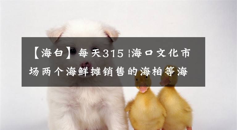 【海白】每天315 |海口文化市场两个海鲜摊销售的海柏等海鲜提取检查不合格。