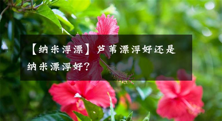 【纳米浮漂】芦苇漂浮好还是纳米漂浮好?