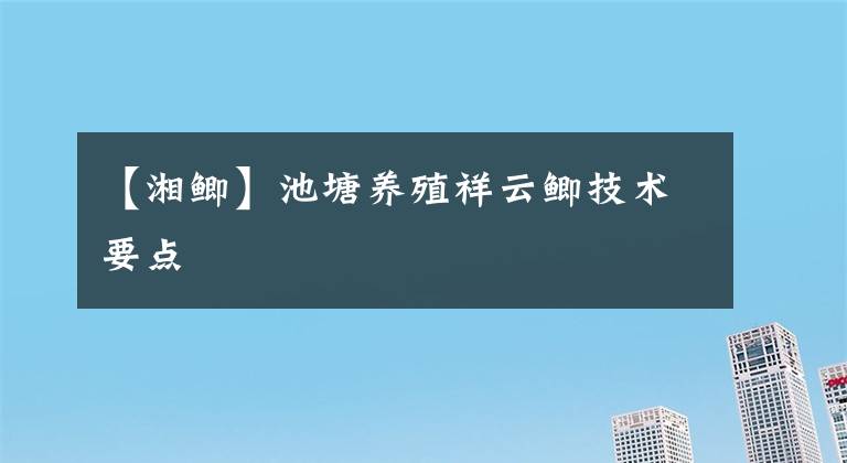【湘鲫】池塘养殖祥云鲫技术要点