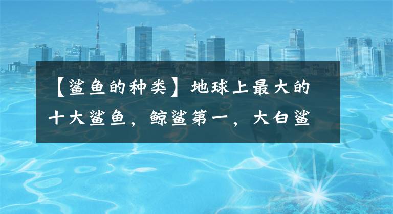 【鲨鱼的种类】地球上最大的十大鲨鱼,鲸鲨第一,大白鲨第三,巨齿鲨第六