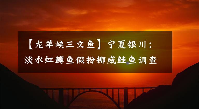 【龙羊峡三文鱼】宁夏银川:淡水虹鳟鱼假扮挪威鲑鱼调查