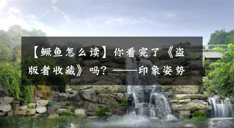 【鳜鱼怎么读】你看完了《盗版者收藏》吗？——印象姿势！