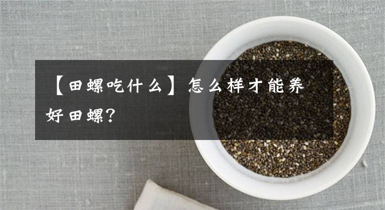 【田螺吃什么】怎么样才能养好田螺?
