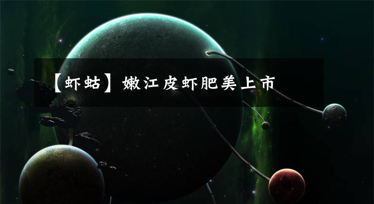 【虾蛄】嫩江皮虾肥美上市