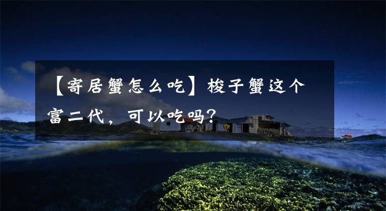 【寄居蟹怎么吃】梭子蟹这个富二代,可以吃吗?