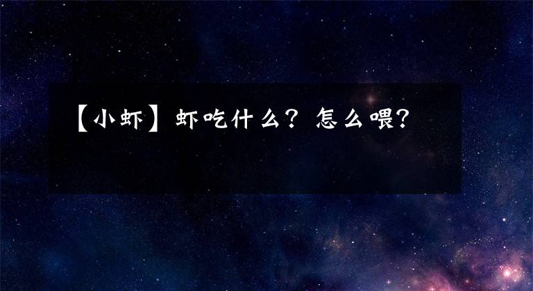 【小虾】虾吃什么？怎么喂？
