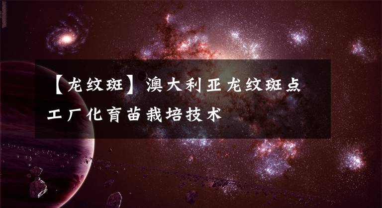 【龙纹斑】澳大利亚龙纹斑点工厂化育苗栽培技术