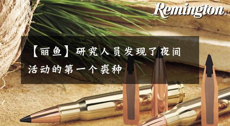 【丽鱼】研究人员发现了夜间活动的第一个裘种