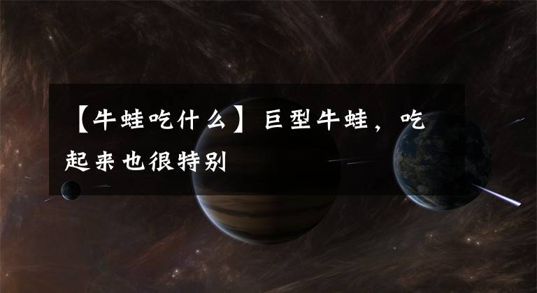 【牛蛙吃什么】巨型牛蛙，吃起来也很特别