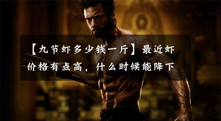 【九节虾多少钱一斤】最近虾价格有点高,什么时候能降下来?从6月下旬到7月,价格将下降