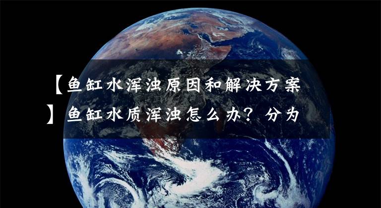【鱼缸水浑浊原因和解决方案】鱼缸水质浑浊怎么办?分为两种情况,一次告诉你解决症状的情况