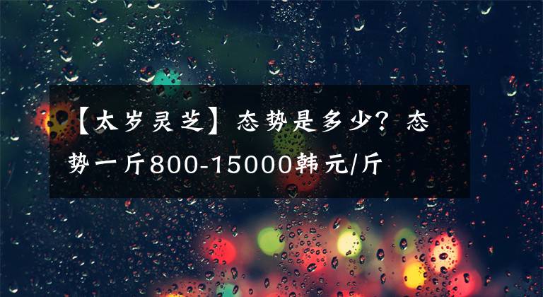 【太岁灵芝】态势是多少?态势一斤800-15000韩元/斤
