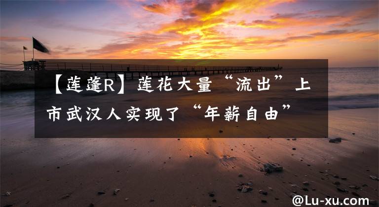 【莲蓬R】莲花大量“流出”上市武汉人实现了“年薪自由”。