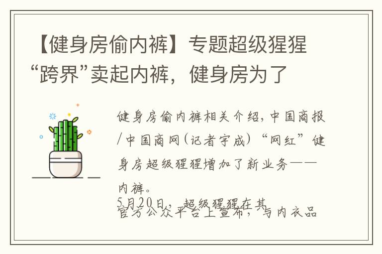 【健身房偷内裤】专题超级猩猩“跨界”卖起内裤,健身房为了盈利有多拼