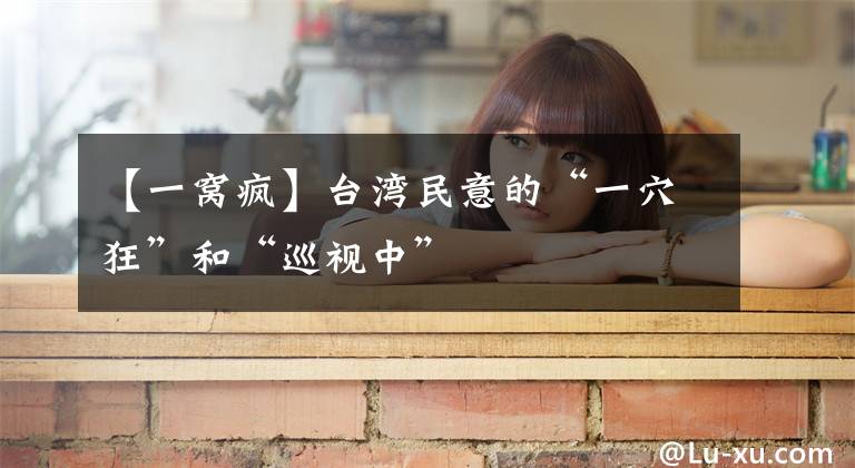 【一窝疯】台湾民意的“一穴狂”和“巡视中”