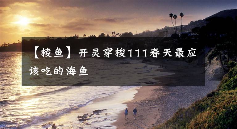 【棱鱼】开灵穿梭111春天最应该吃的海鱼