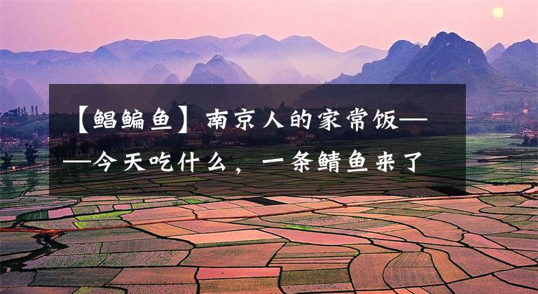 【鲳鳊鱼】南京人的家常饭——今天吃什么，一条鲭鱼来了。