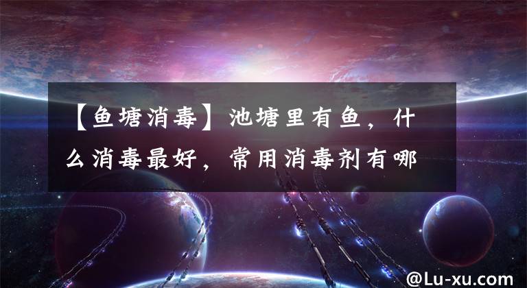 【鱼塘消毒】池塘里有鱼,什么消毒最好,常用消毒剂有哪些?
