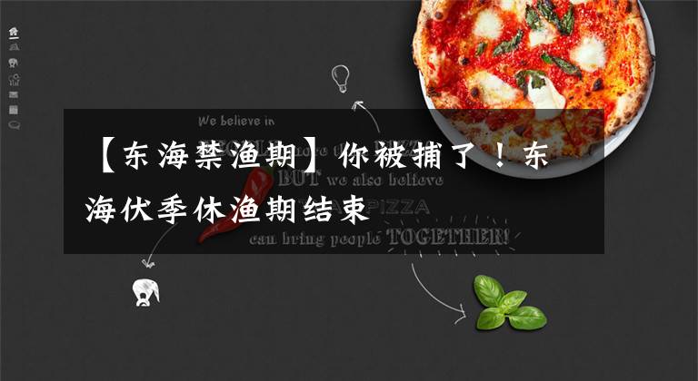 【东海禁渔期】你被捕了!东海伏季休渔期结束