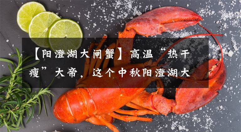 【阳澄湖大闸蟹】高温“热干瘦”大帝，这个中秋阳澄湖大帝可能会缺席