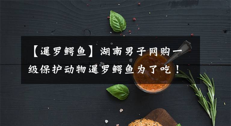 【暹罗鳄鱼】湖南男子网购一级保护动物暹罗鳄鱼为了吃!电死后再用刀砍的话,将受到刑罚