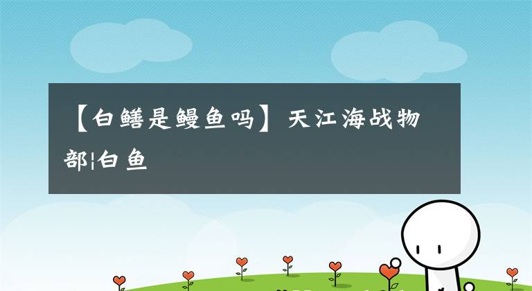 【白鳝是鳗鱼吗】天江海战物部|白鱼