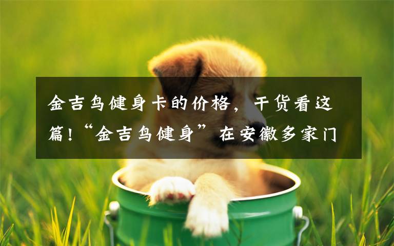 金吉鸟健身卡的价格,干货看这篇!“金吉鸟健身”在安徽多家门店关门 消费者称退费难
