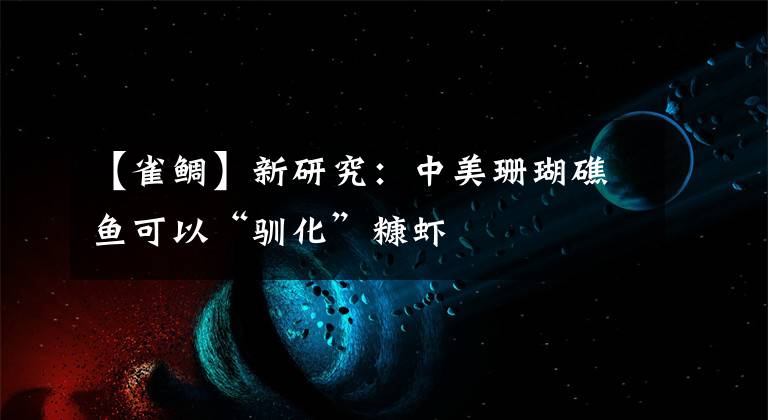 【雀鲷】新研究：中美珊瑚礁鱼可以“驯化”糠虾