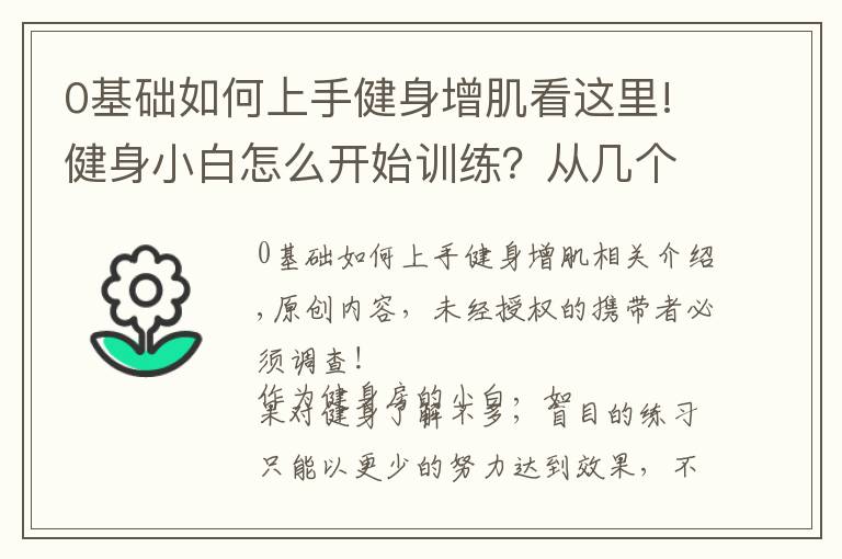 0基础如何上手健身增肌看这里!健身小白怎么开始训练?从几个基础动作入手,提高健身效果