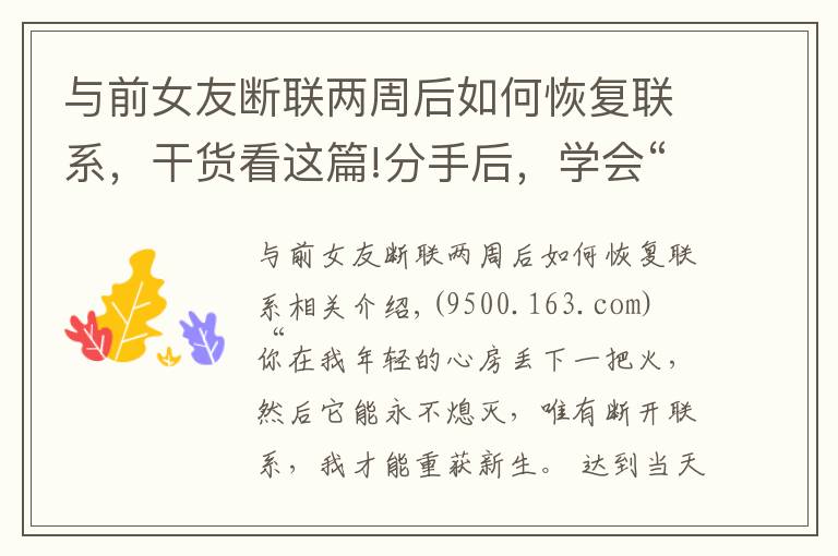 与前女友断联两周后如何恢复联系,干货看这篇!分手后,学会“断联”才会让你重获新生